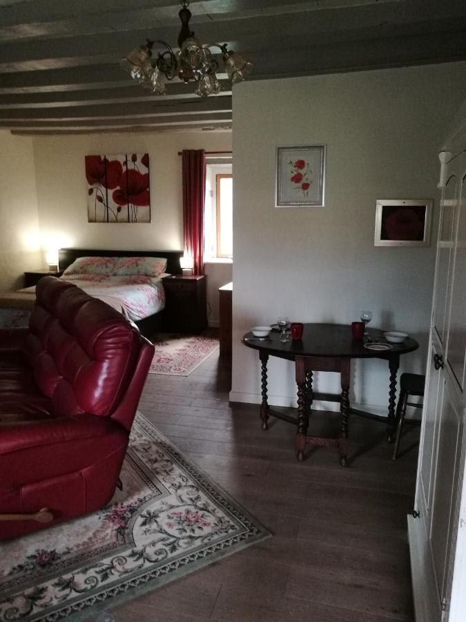 Bed and Breakfast Chez Pastuso Brigueil-le-Chantre Екстер'єр фото